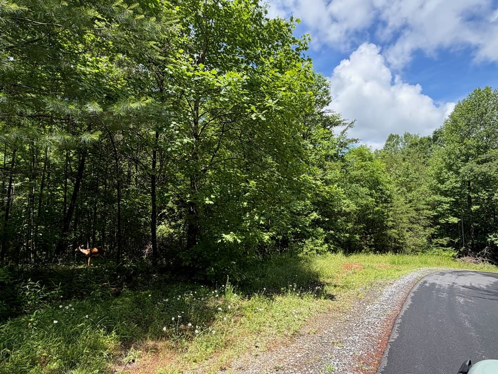2.75AC Quail Ridge Road, Epworth GA 30541 - Photo