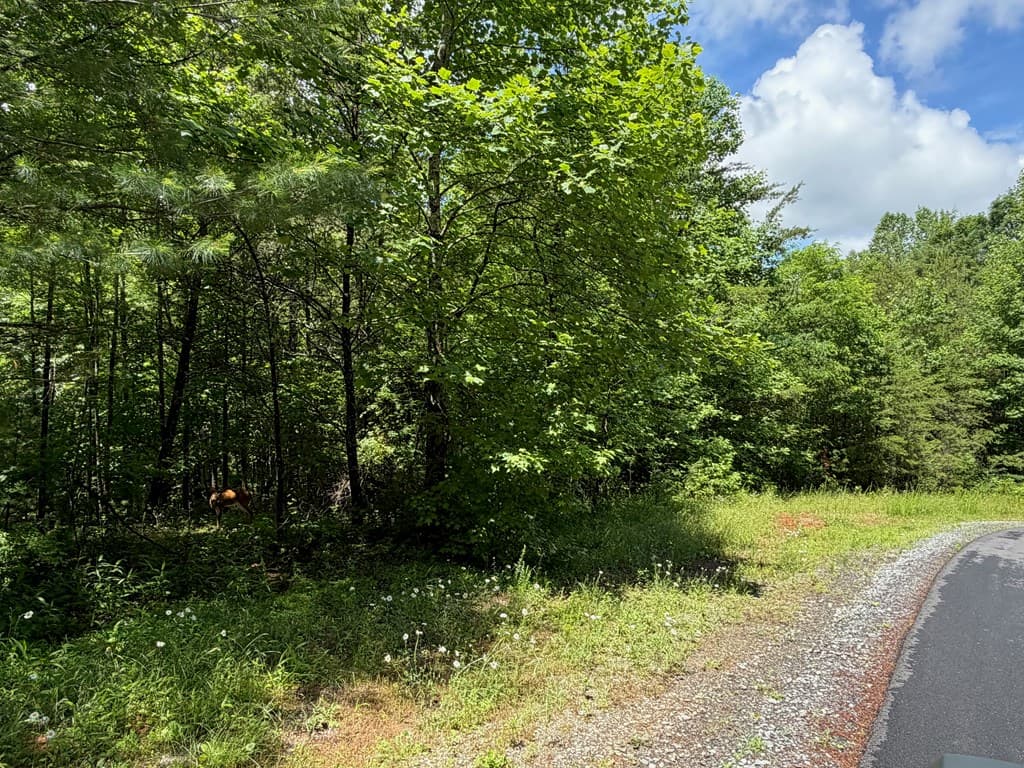 2.75AC Quail Ridge Road, Epworth GA 30541 - Photo