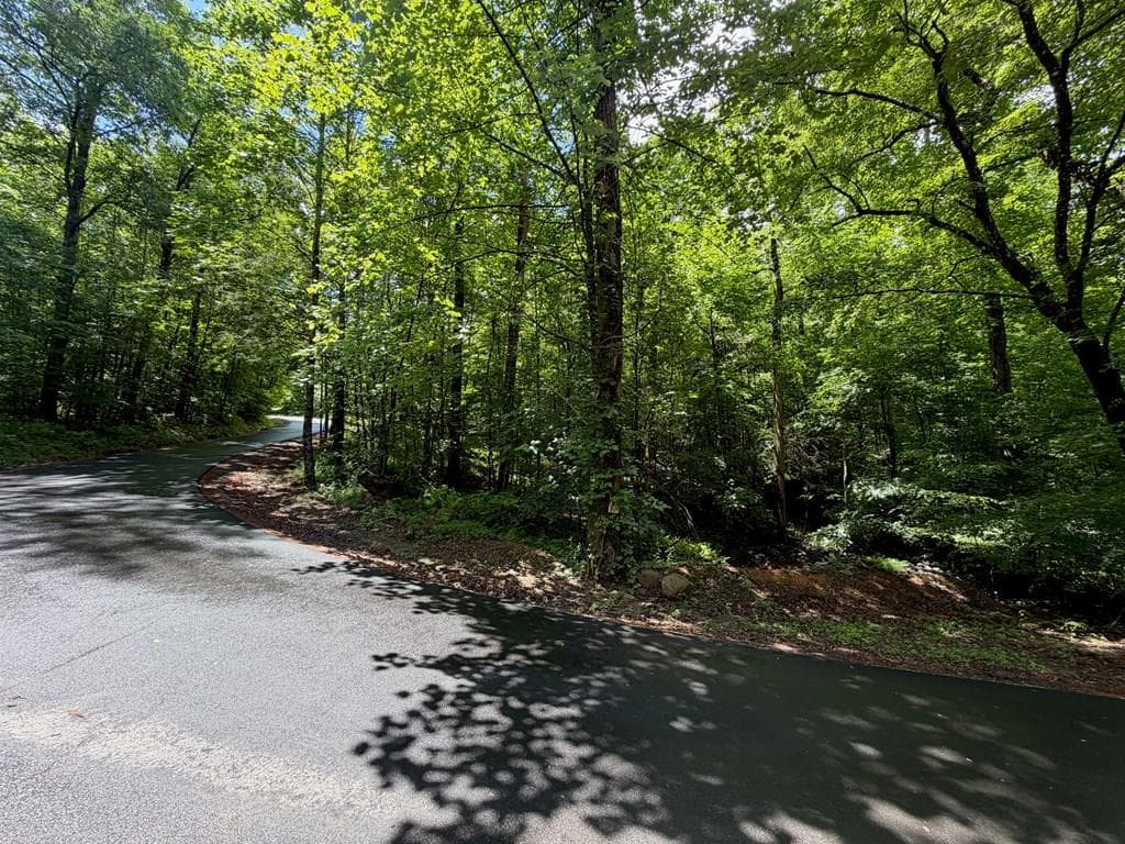 2.75AC Quail Ridge Road, Epworth GA 30541 - Primary photo