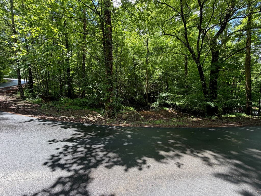 2.75AC Quail Ridge Road, Epworth GA 30541 - Photo