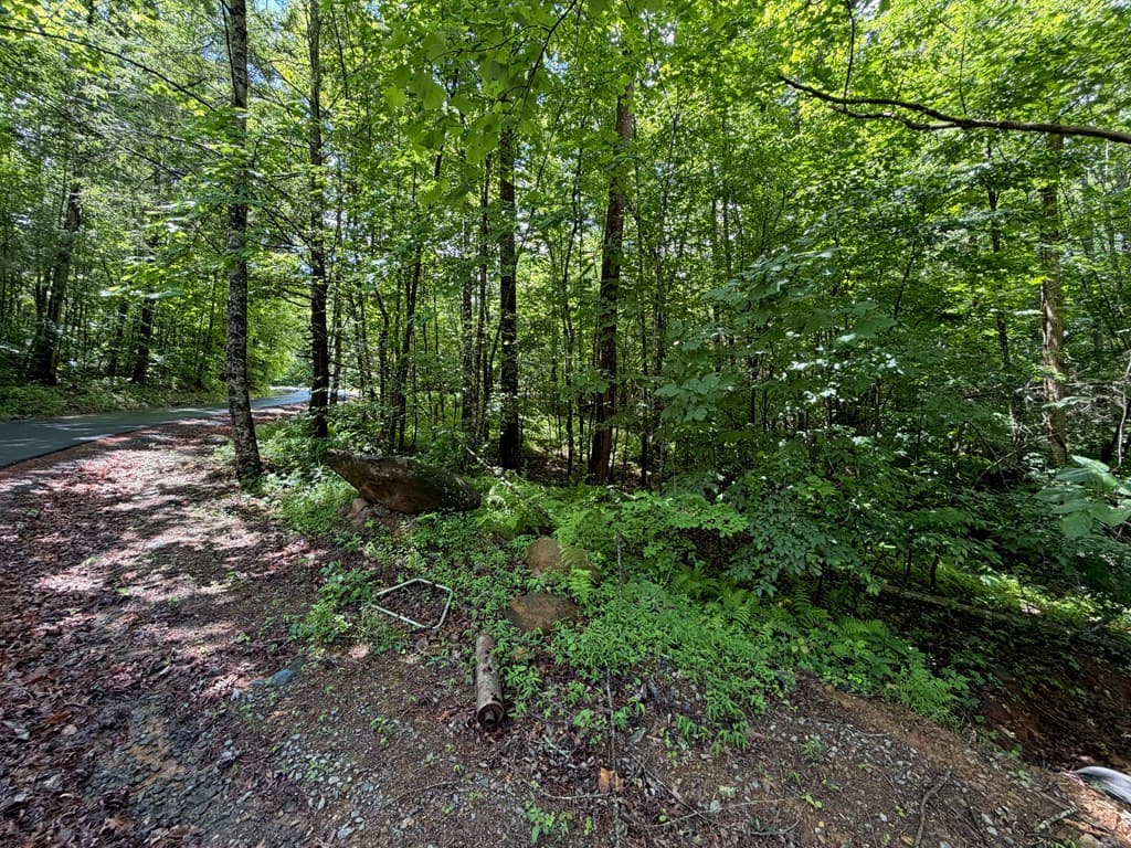 2.75AC Quail Ridge Road, Epworth GA 30541 - Photo