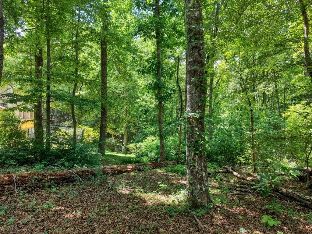 14 B Breezewood Village, Young Harris GA 30582 - Photo
