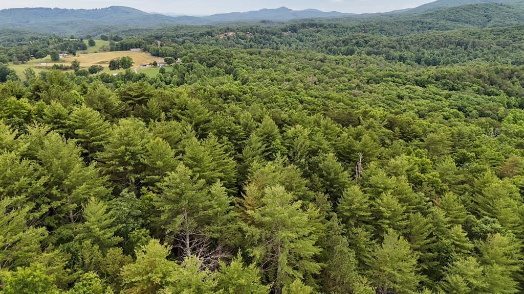 00 Choctaw Ridge Trail, Murphy NC 28906 - Photo