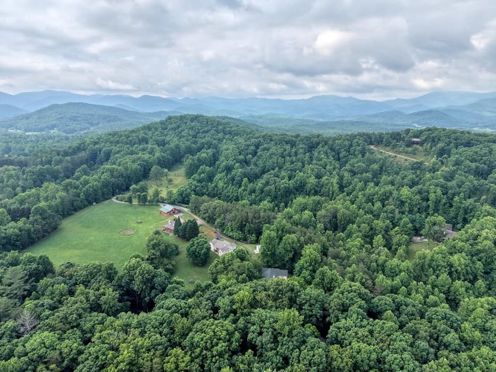 115 Ledge Lane, Blairsville GA 30512 - Photo