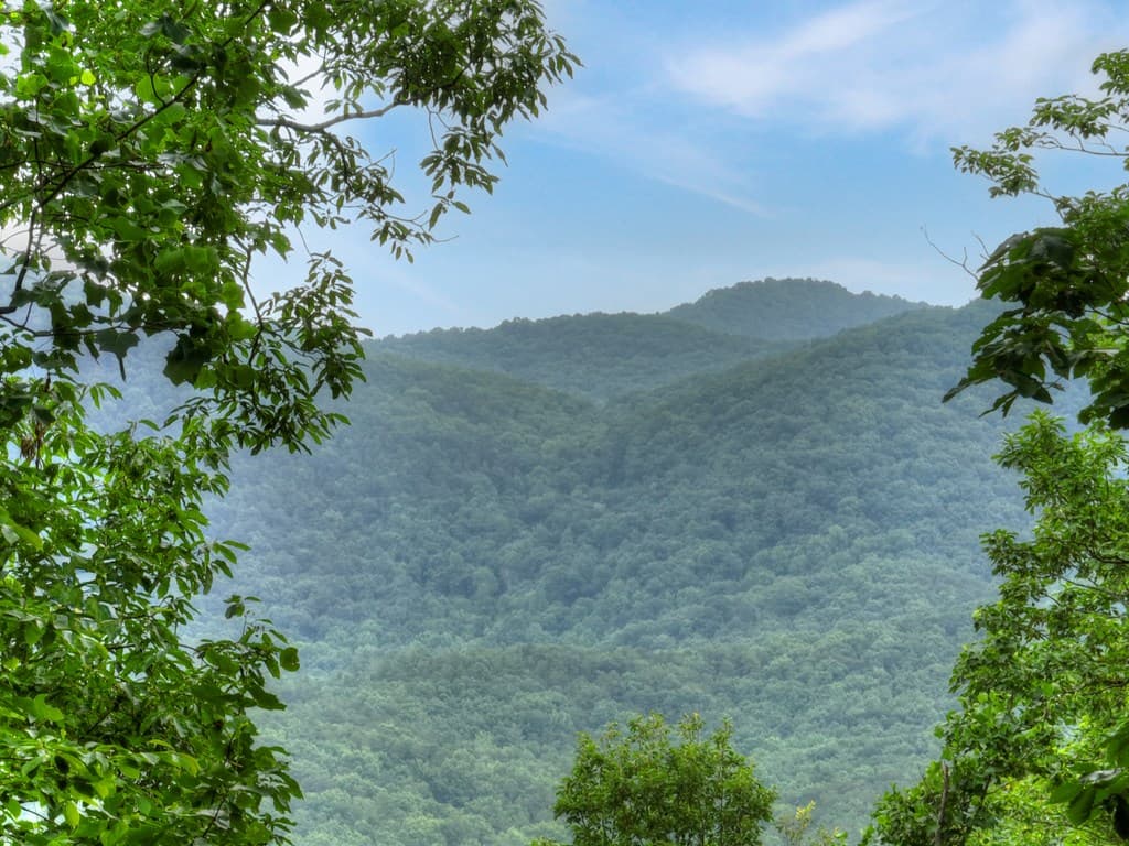 415 Walnut Mountain Road, Ellijay GA 30536 - Photo