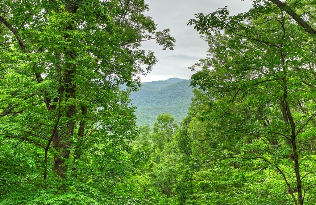 415 Walnut Mountain Road, Ellijay GA 30536 - Photo