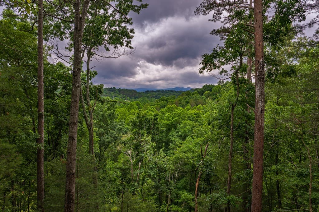9 Deer Haven Drive, Morganton GA 30560 - Photo