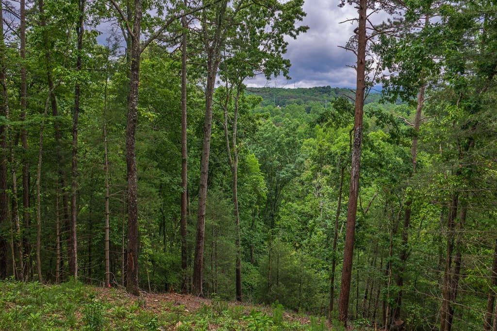 9 Deer Haven Drive, Morganton GA 30560 - Photo