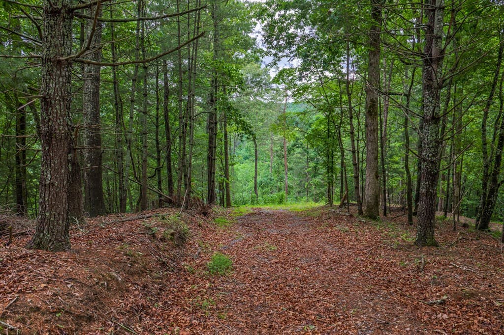 9 Deer Haven Drive, Morganton GA 30560 - Photo