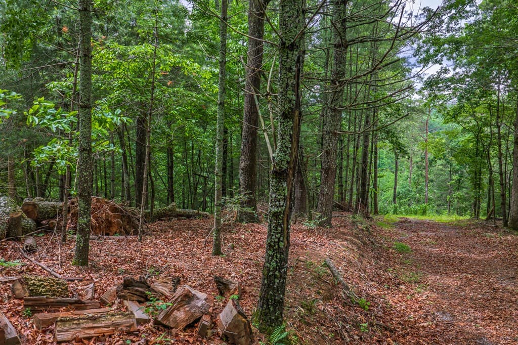 9 Deer Haven Drive, Morganton GA 30560 - Photo