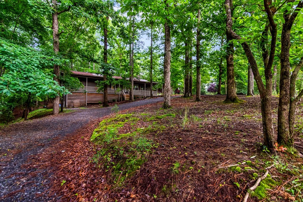 480 Pasha Drive, Ellijay GA 30540 - Photo