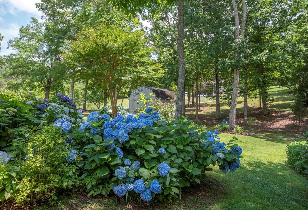 53 Windjammer Court, Hiawassee GA 30546 - Photo