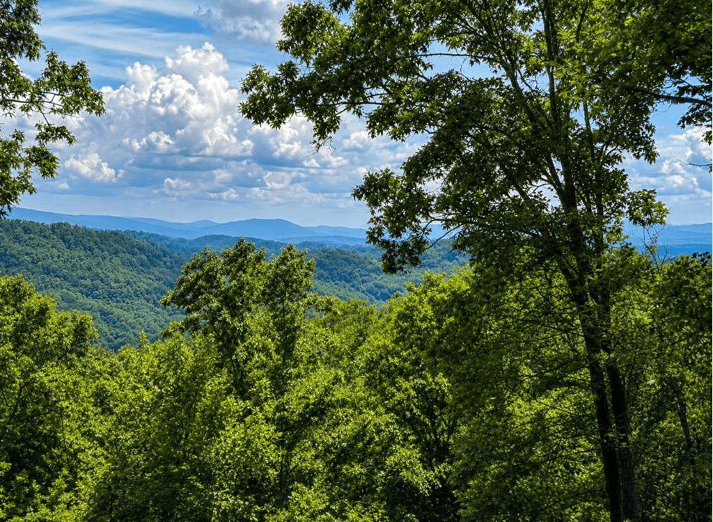 649 Weaver Creek Way, Blue Ridge GA 30513 - Photo