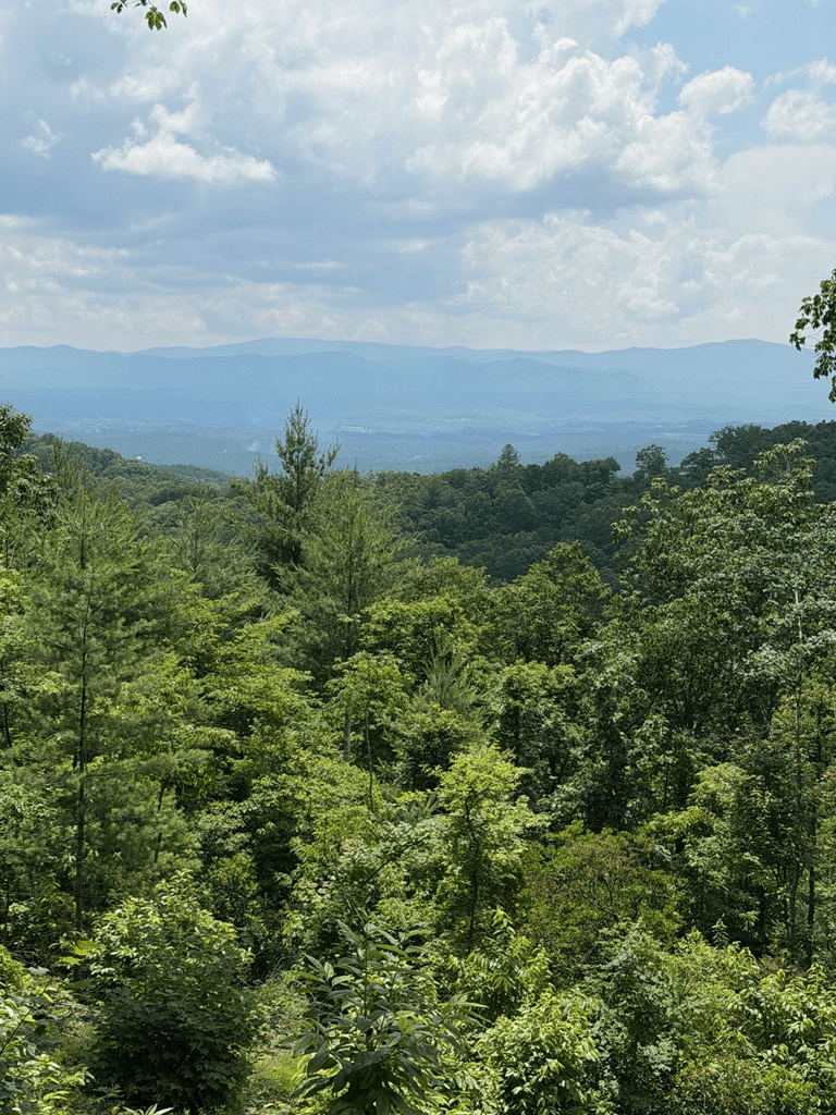 340 Lazy Country Cove Road, Murphy SC 29806 - Photo