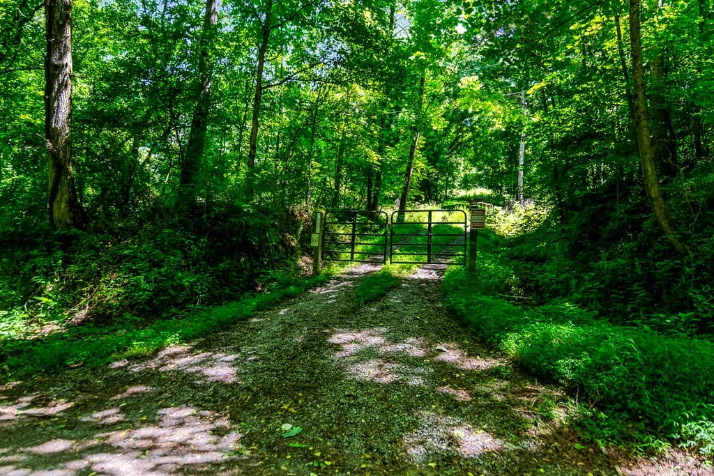 773 Fairview Road, Jasper GA 30143 - Photo