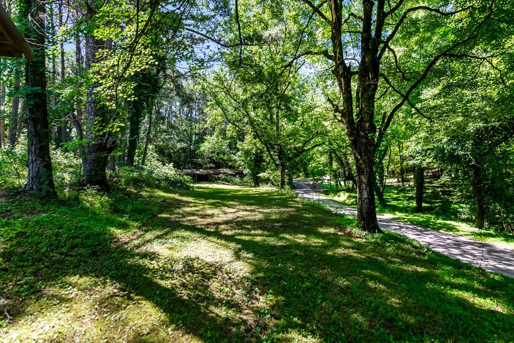 773 Fairview Road, Jasper GA 30143 - Photo