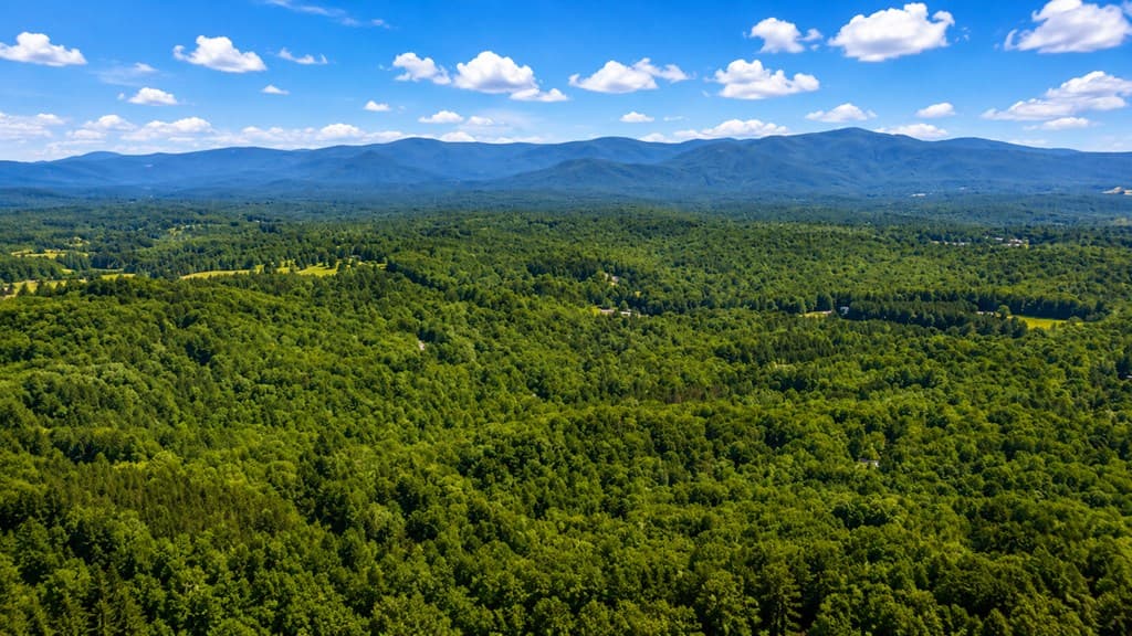 773 Fairview Road, Jasper GA 30143 - Photo