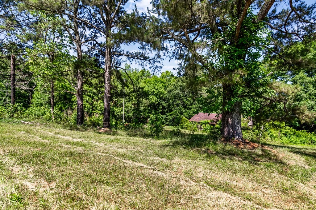 773 Fairview Road, Jasper GA 30143 - Photo