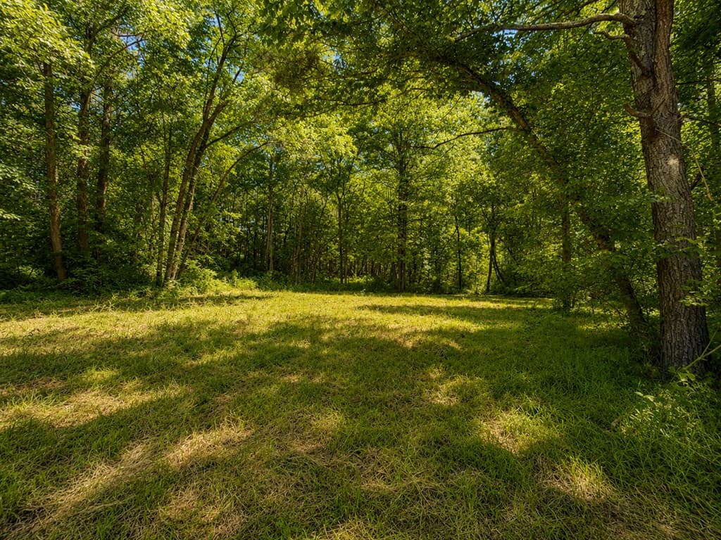 773 Fairview Road, Jasper GA 30143 - Photo