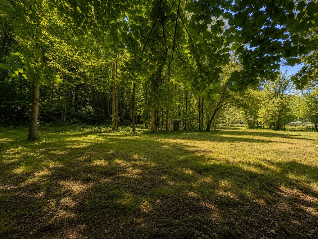773 Fairview Road, Jasper GA 30143 - Photo