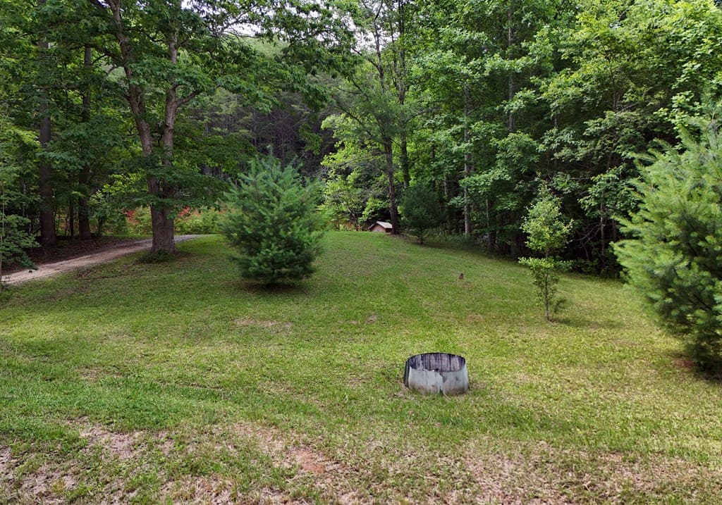 34 Summerhill Lane, Blairsville GA 30512 - Photo