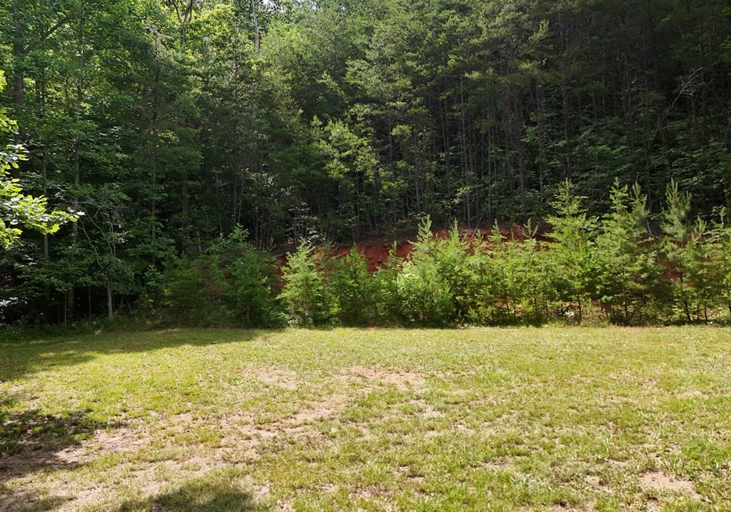 34 Summerhill Lane, Blairsville GA 30512 - Photo