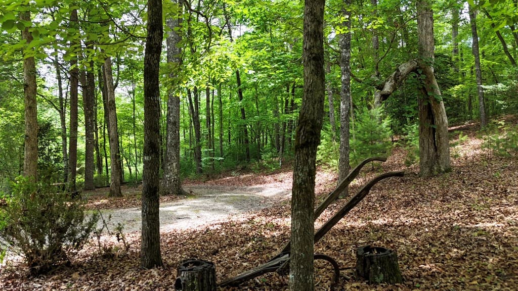 115 Degatide Drive, Murphy NC 28906 - Photo