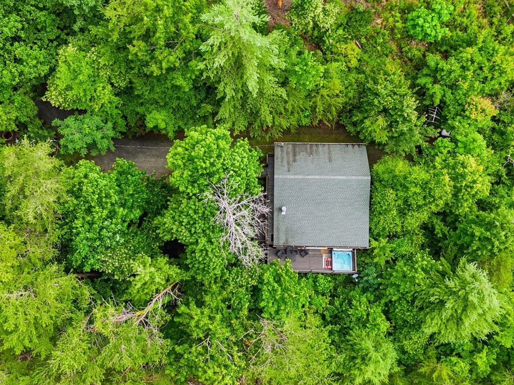 216 Laurel Creek Road, Blue Ridge GA 30513 - Photo