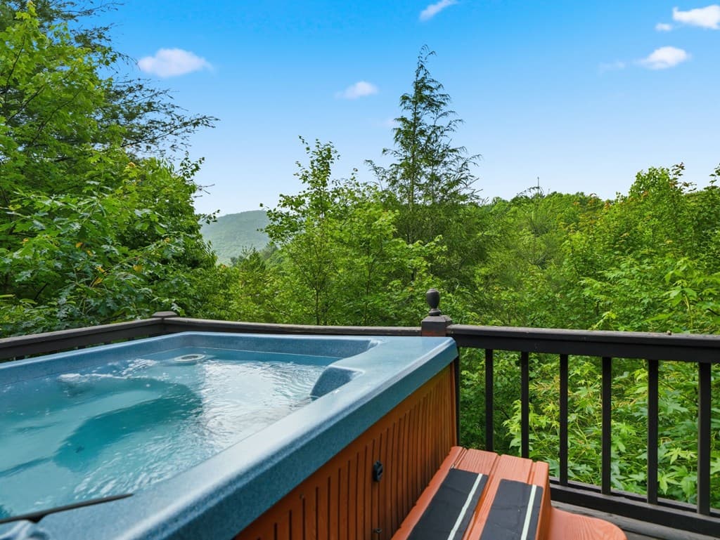 216 Laurel Creek Road, Blue Ridge GA 30513 - Photo