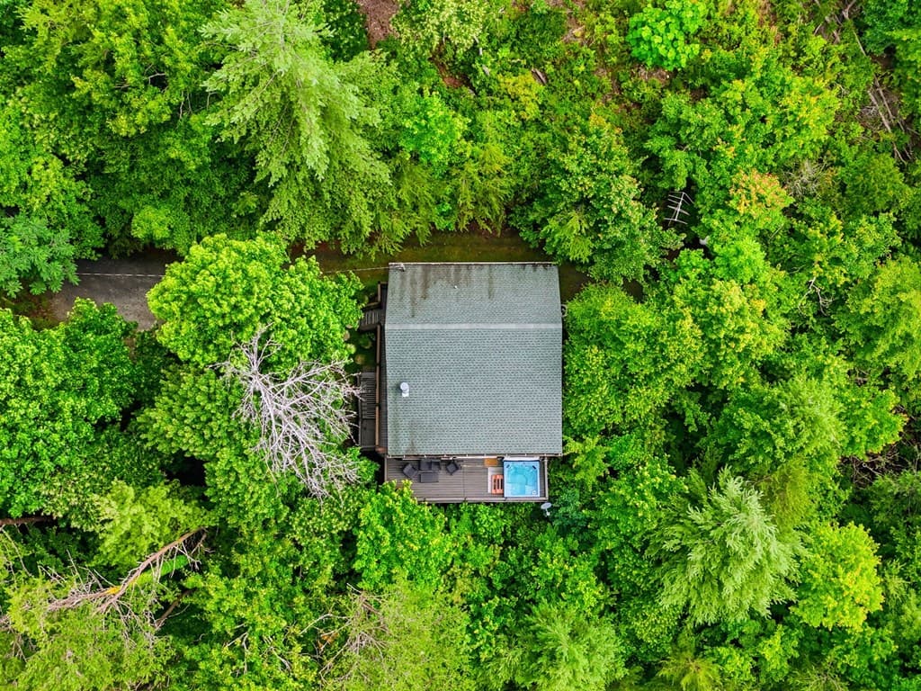216 Laurel Creek Road, Blue Ridge GA 30513 - Photo