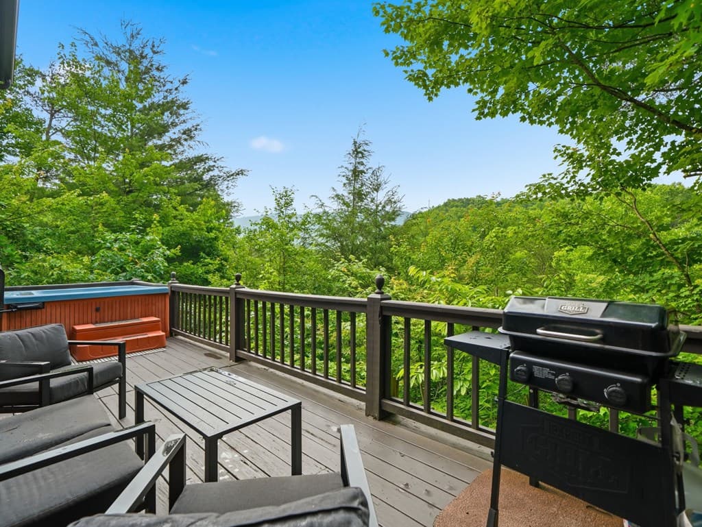 216 Laurel Creek Road, Blue Ridge GA 30513 - Photo