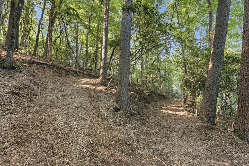 2781 Old Parker Place Road, Ellijay GA 30536 - Photo