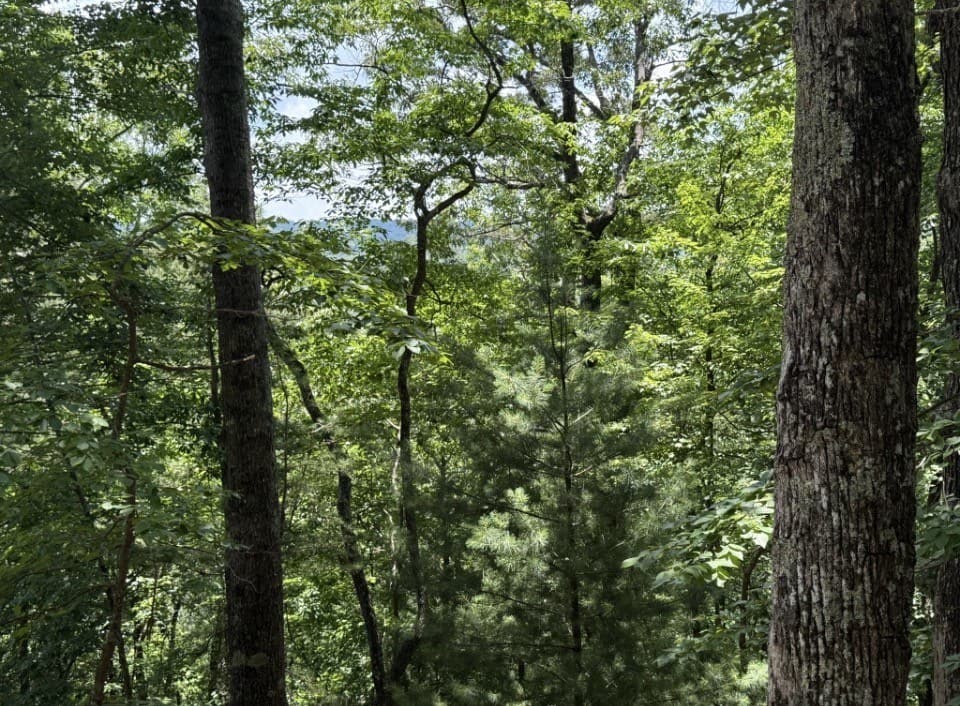 Lot 2607 Magnet Court, Ellijay GA 30540 - Photo