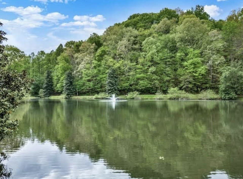 Lot 2607 Magnet Court, Ellijay GA 30540 - Photo