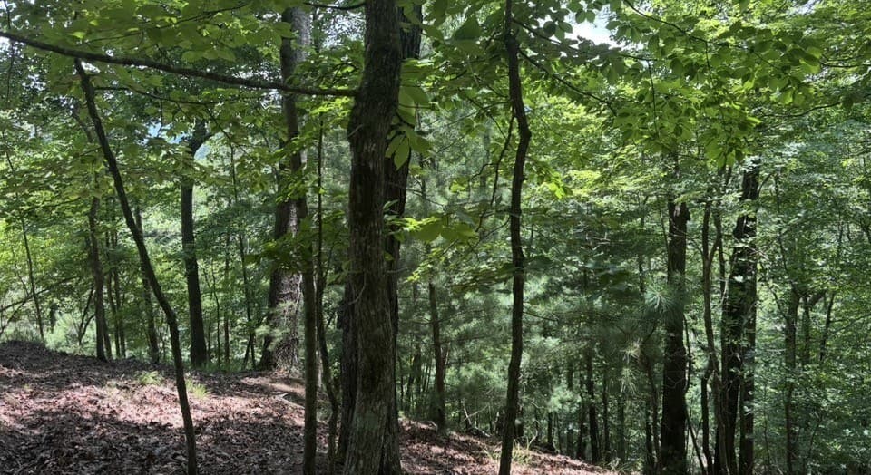 Lot 2607 Magnet Court, Ellijay GA 30540 - Photo
