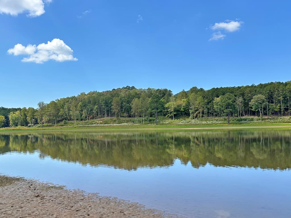251 Walnut Rd, Blairsville GA 30512 - Photo