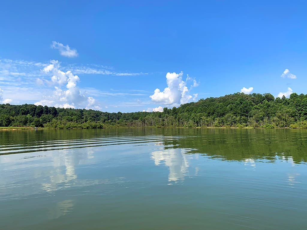 251 Walnut Rd, Blairsville GA 30512 - Photo