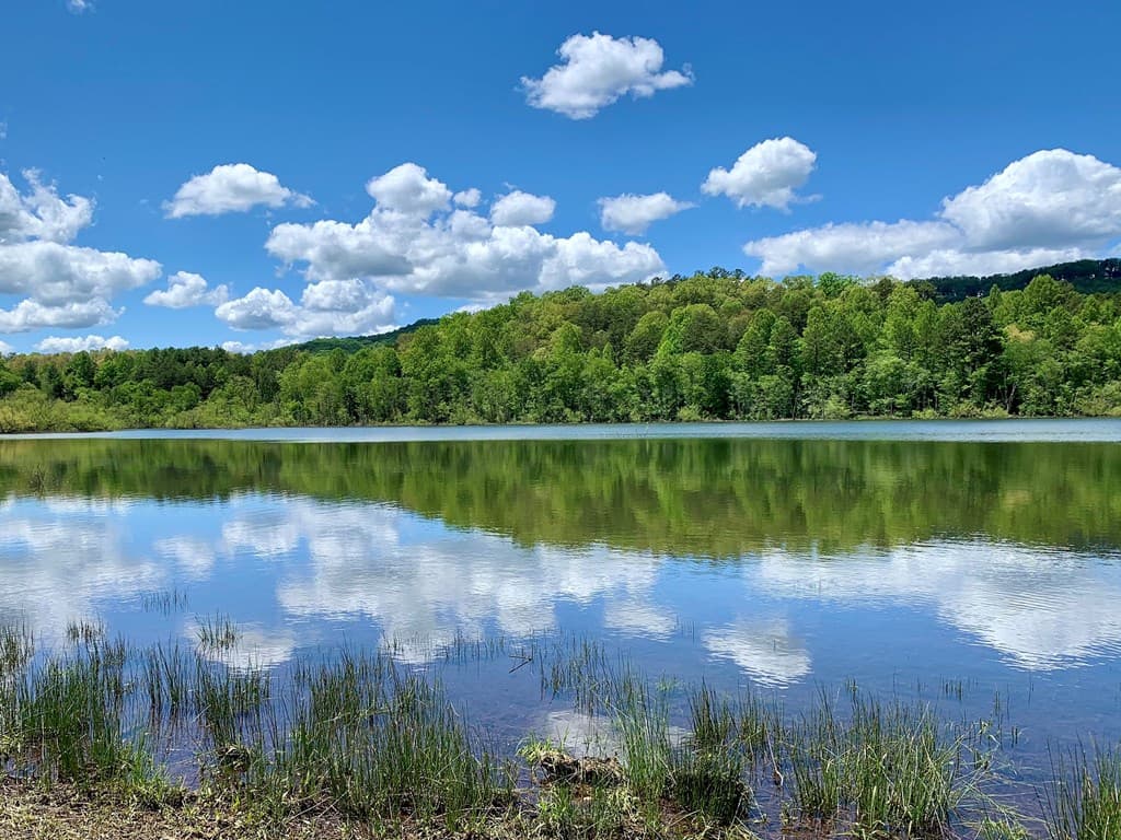 251 Walnut Rd, Blairsville GA 30512 - Photo