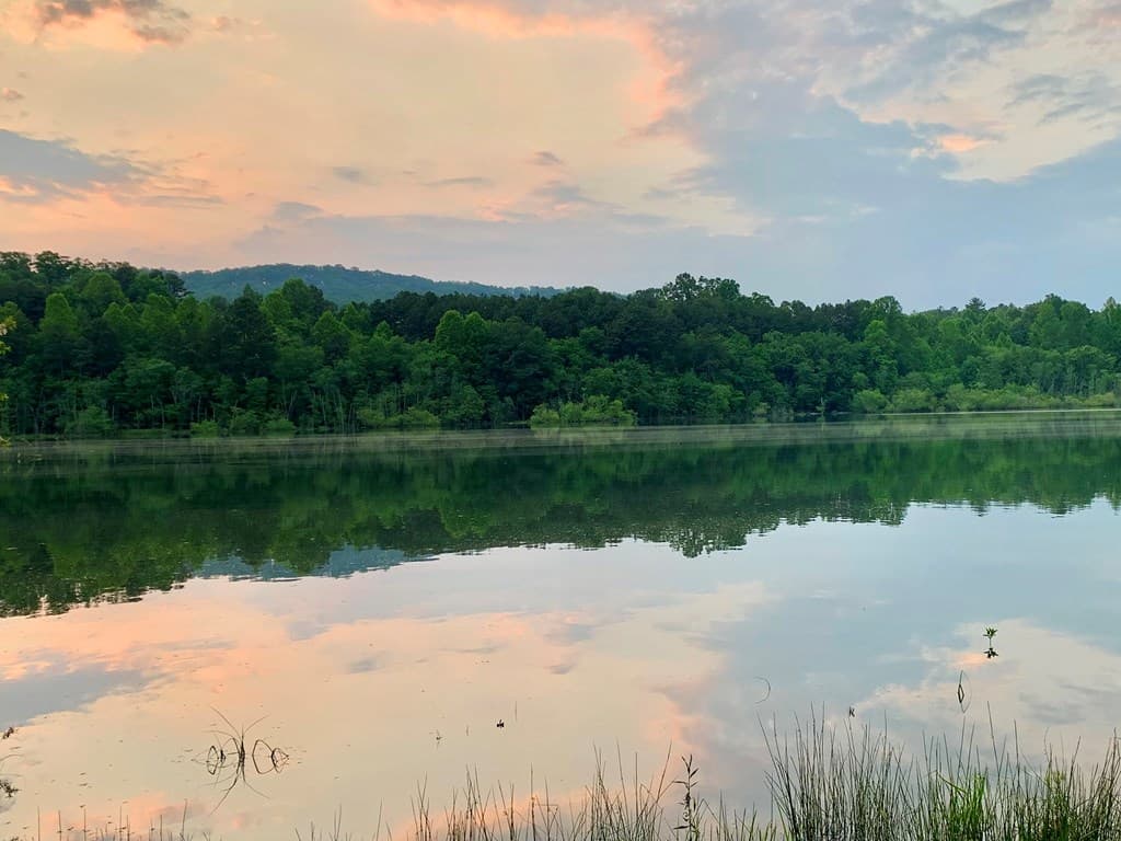 251 Walnut Rd, Blairsville GA 30512 - Photo