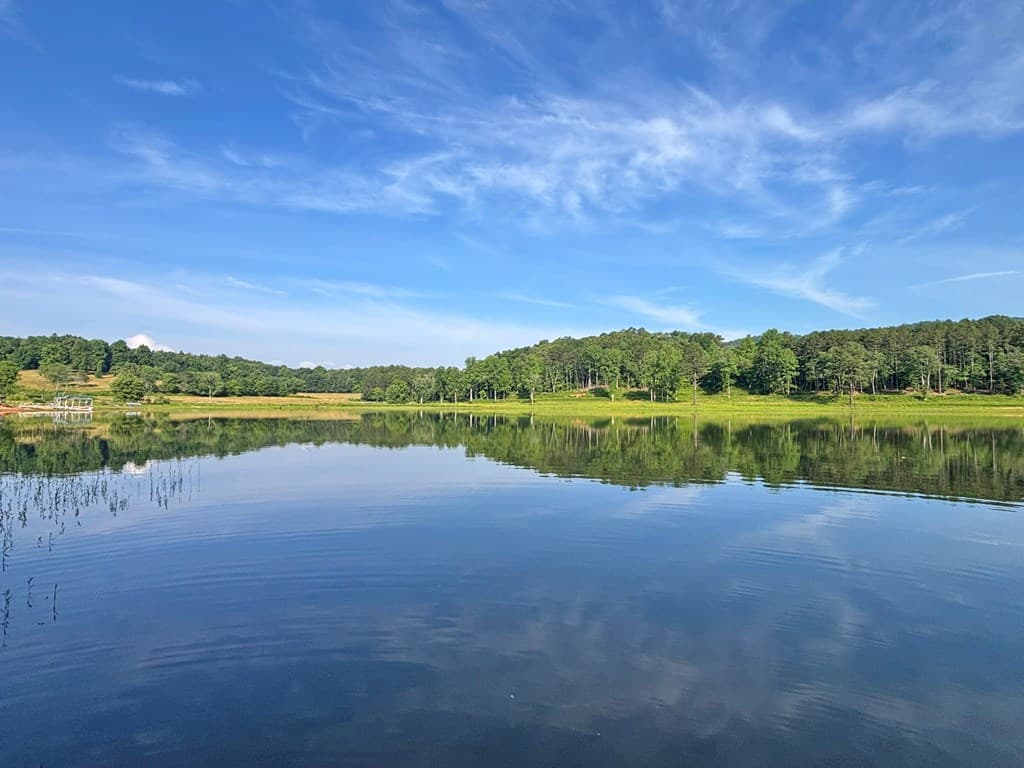 251 Walnut Rd, Blairsville GA 30512 - Photo