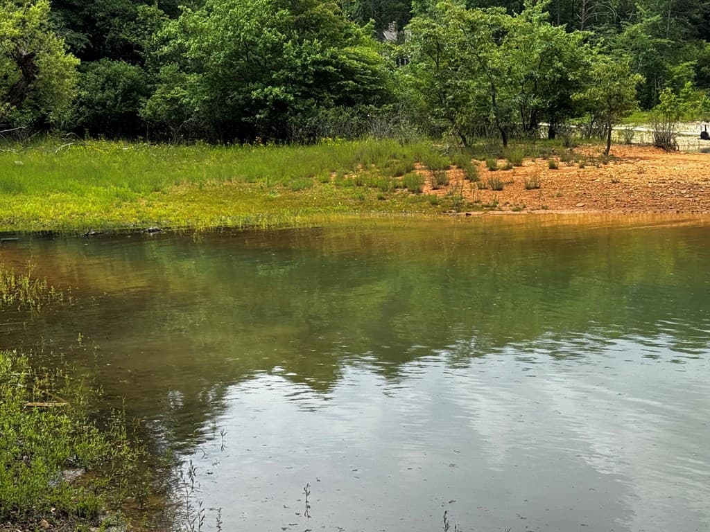 1.79 AC Nottely Dam Road, Blairsville GA 30512 - Photo
