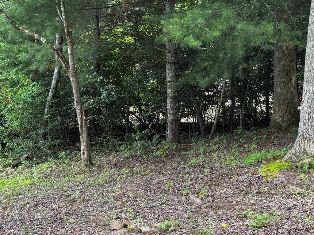1.79 AC Nottely Dam Road, Blairsville GA 30512 - Photo