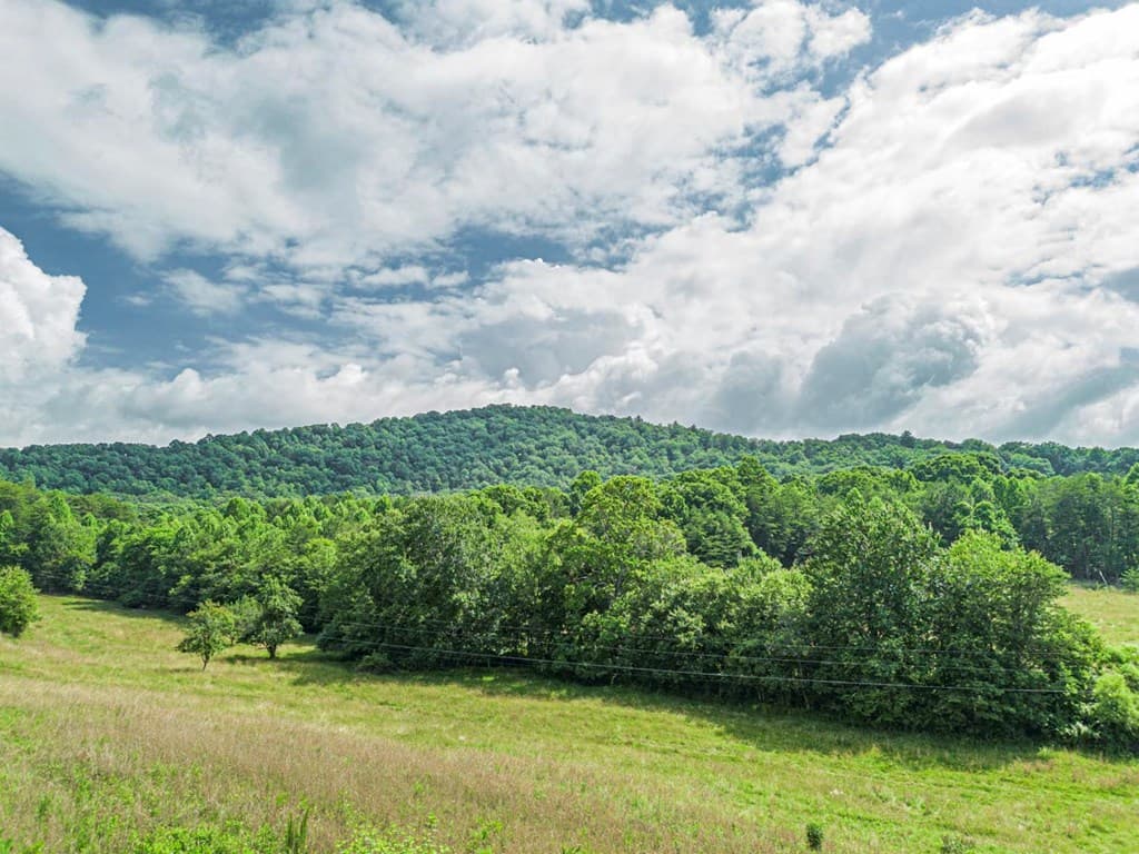 541 Pleasant Hill Road, Copperhill TN 37317 - Photo