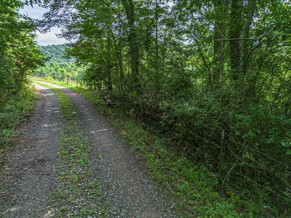 541 Pleasant Hill Road, Copperhill TN 37317 - Photo
