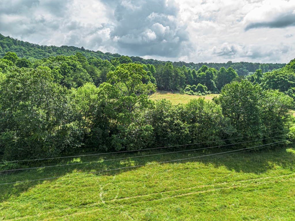541 Pleasant Hill Road, Copperhill TN 37317 - Photo