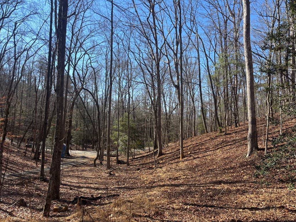 41 Majestic Way, Morganton GA 30560 - Photo