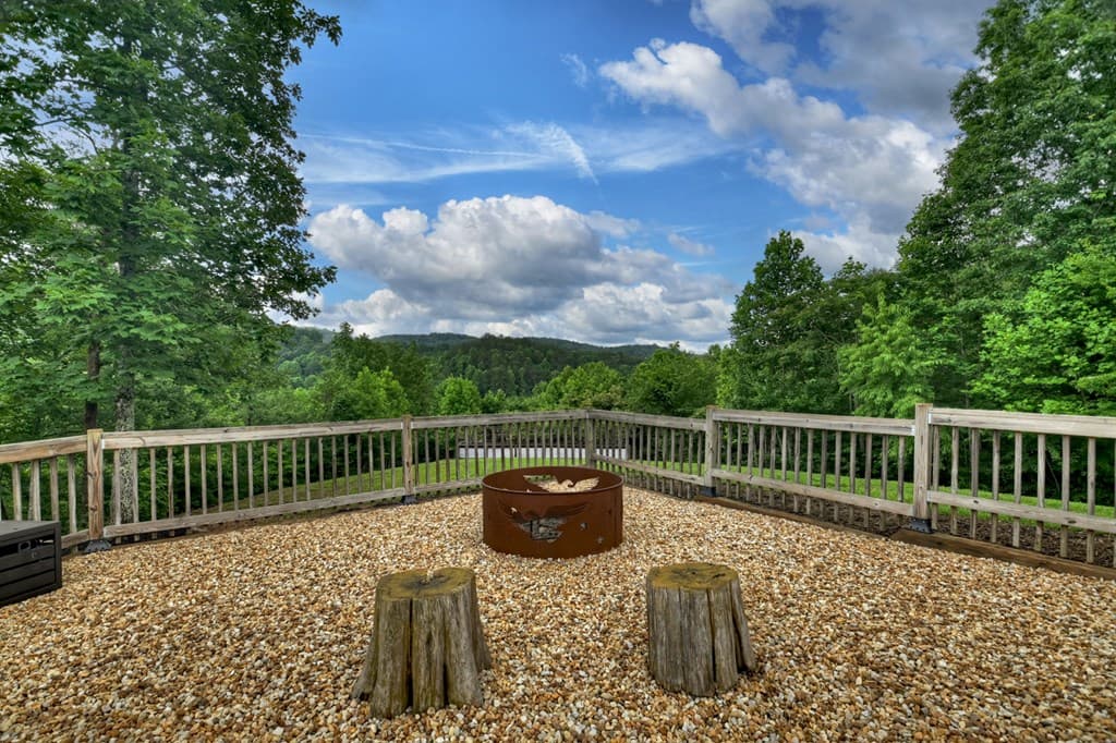 328 Arapaho Walk, Mineral Bluff GA 30559 - Photo