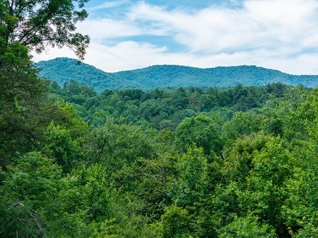 1172 Settlers Ridge Road, Ellijay GA 30540 - Photo
