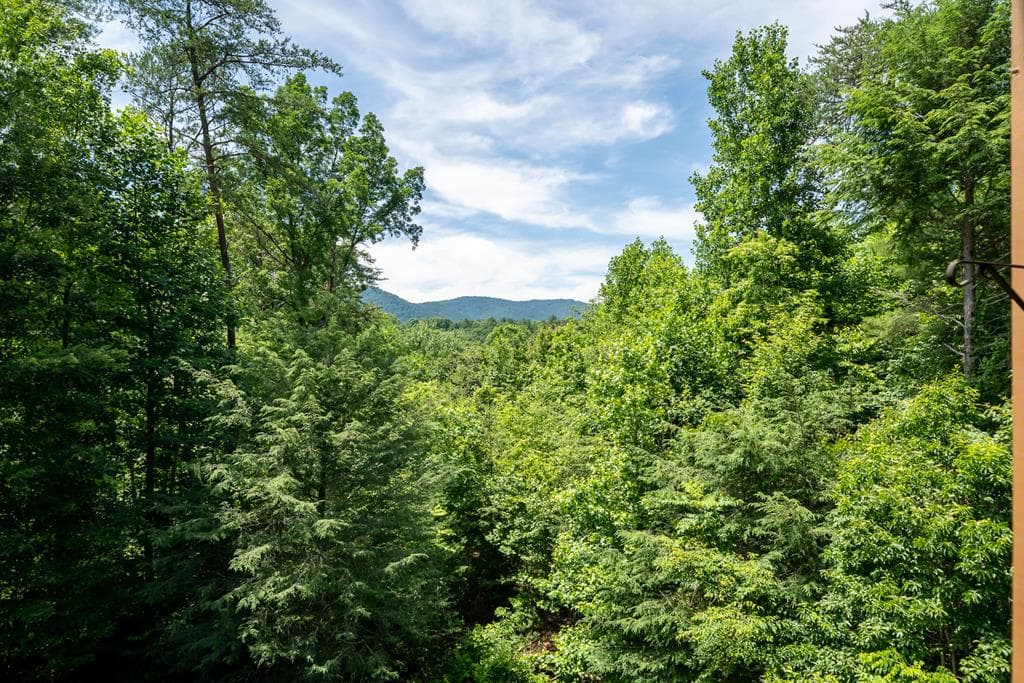 1172 Settlers Ridge Road, Ellijay GA 30540 - Photo