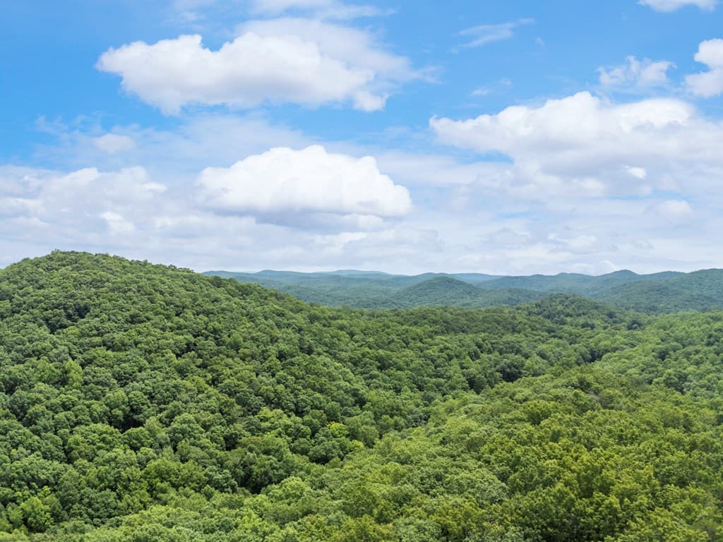 57.64 ac Mountain Ash Road, Ellijay GA 30536 - Photo